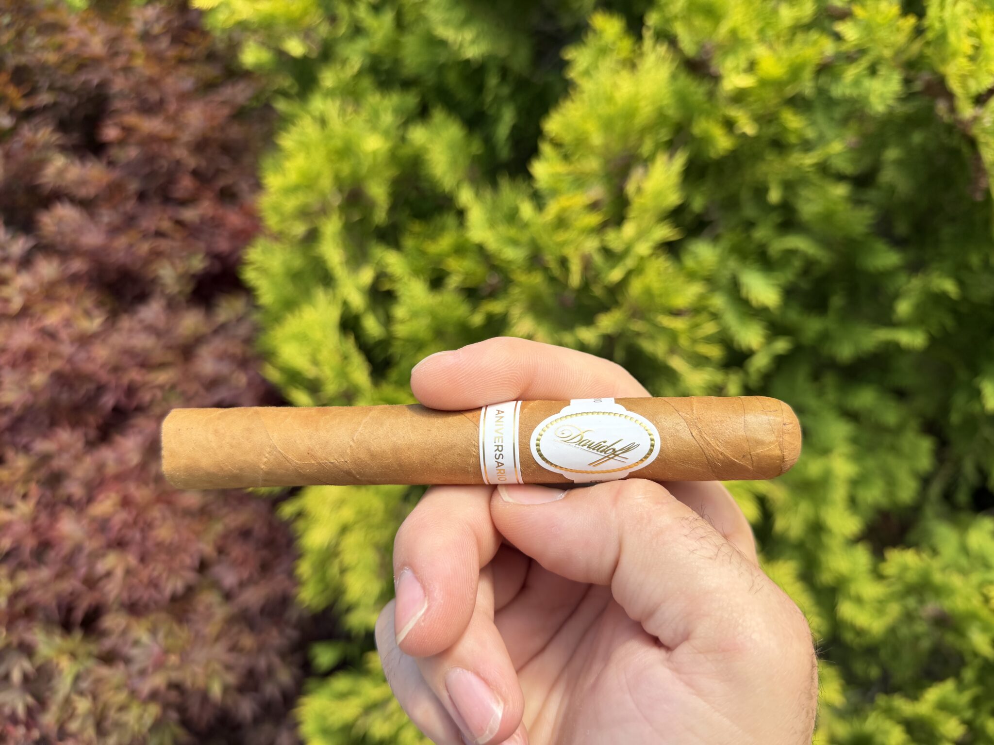 Cigar Review: Davidoff Aniversario No. 3