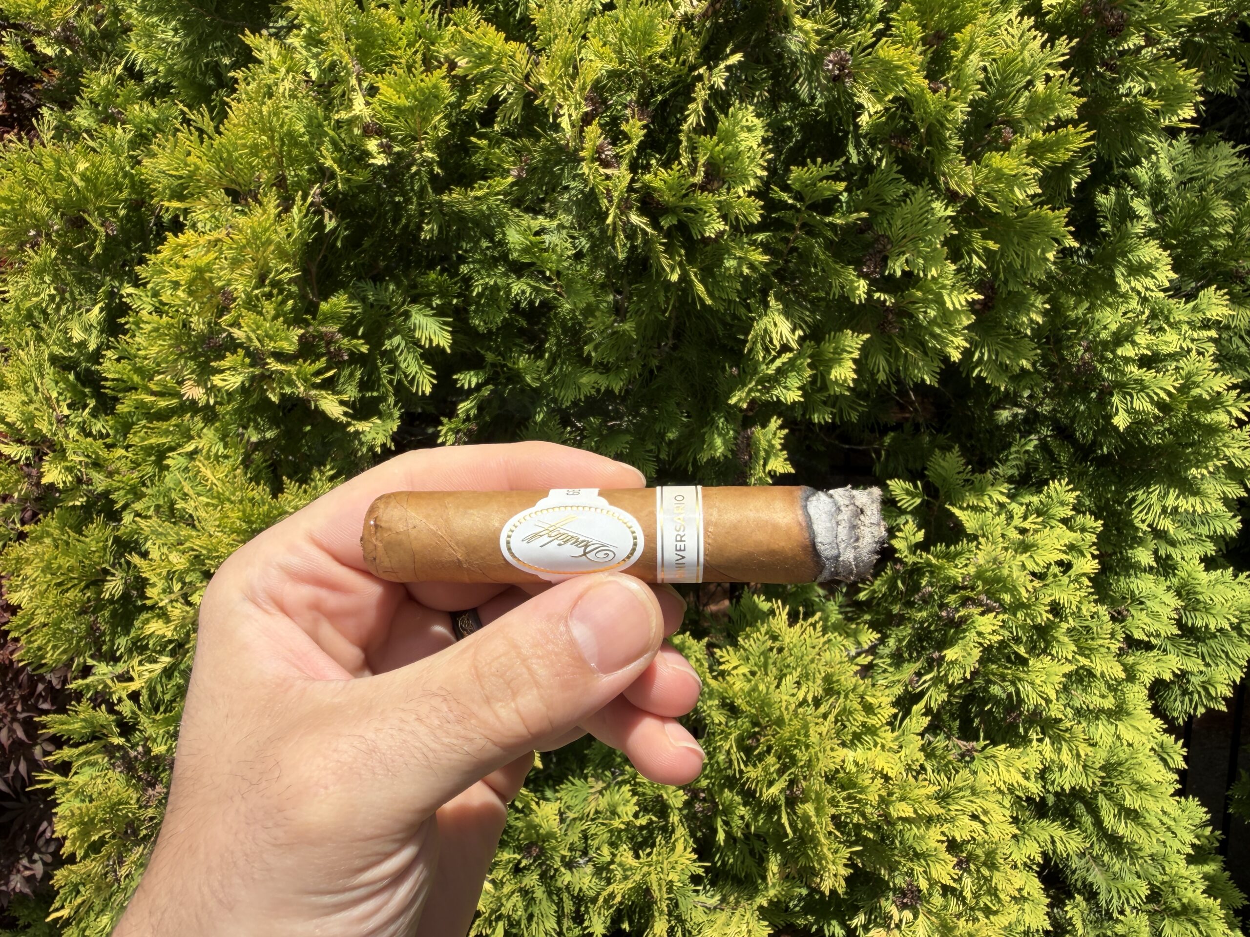 davidoff cigarette near me Supreme Travel Retail Duty Free Price 5 Davidoff Puro Dominicano Corona Larga